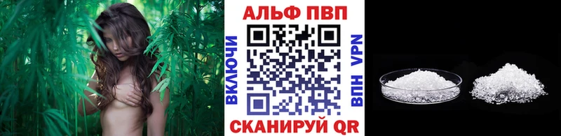 APVP СК КРИС  OMG ссылки  Аткарск 