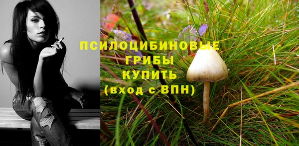 герыч Новокубанск