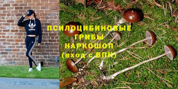 каннабис Новодвинск