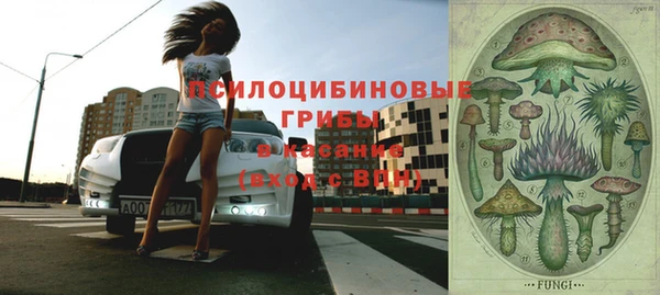 каннабис Новодвинск