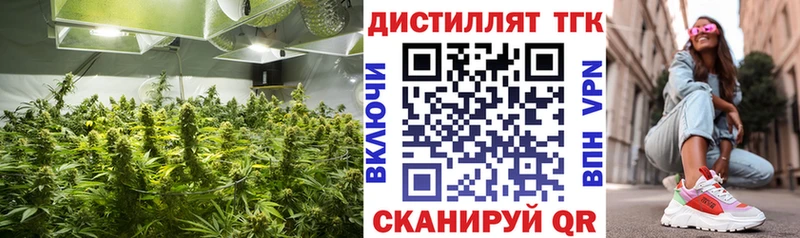 OMG зеркало  Аткарск  Дистиллят ТГК гашишное масло 